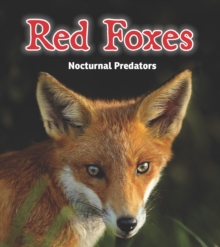 Image for Red foxes  : nocturnal predators