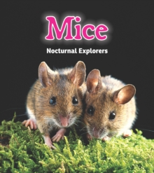 Image for Mice  : nocturnal explorers