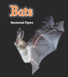 Image for Bats: nocturnal flyers