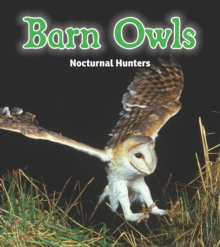 Image for Barn owls: nocturnal hunters