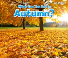 Image for What can you see in autumn?