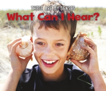 Image for What can I hear?