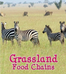 Image for Grassland food chains