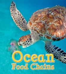 Food Webs Pack A of 5 HB