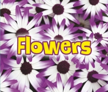 Image for All about flowers