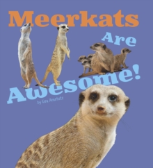 Image for Meerkats are awesome!