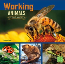 Image for Working animals of the world