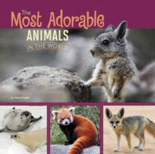 Image for The most adorable animals in the world