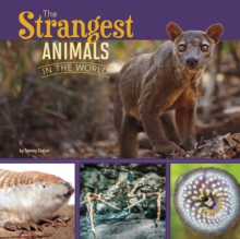 Strangest Animals in the World