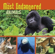 Image for The most endangered animals in the world