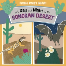 Image for A Day and Night in the Sonoran Desert