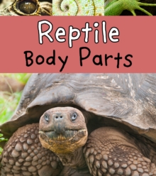Image for Reptile body parts