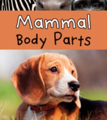Image for Animal Body Parts Pack A of 6