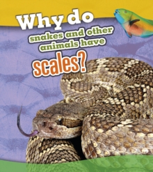 Image for Why do snakes and other animals have scales?
