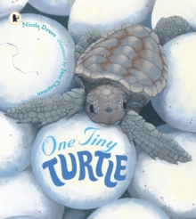 Image for One Tiny Turtle