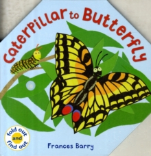 Image for Caterpillar To Butterfly