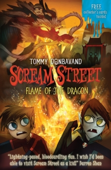 Image for Flame of the dragon