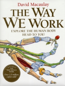 Image for The way we work  : explore the human body - head to toe!