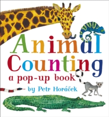 Image for Animal counting  : a pop-up book