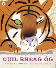 Image for Cuil Bheag Og (Tiny Little Fly)