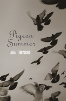 Image for Pigeon Summer