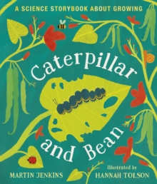 Image for Caterpillar and Bean