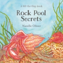 Image for Rock Pool Secrets