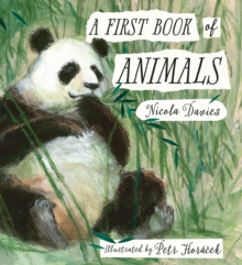 Image for A First Book of Animals