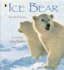 Image for Ice bear