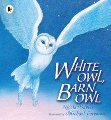 Image for White owl, barn owl
