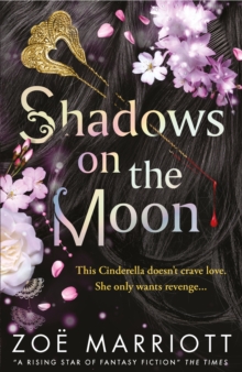 Image for Shadows on the moon