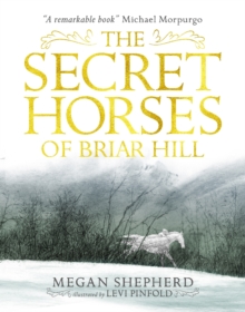 Image for The Secret Horses of Briar Hill