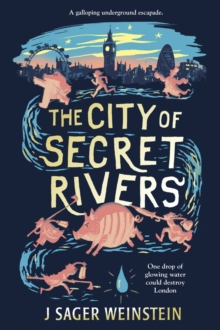 Image for The city of secret rivers