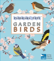 Image for Garden Birds: Panorama Pops