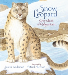 Image for Snow leopard  : grey ghost of the mountain