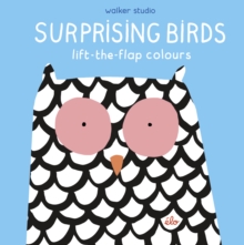 Image for Surprising birds  : lift-the-flap colours