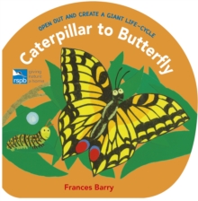 Image for Caterpillar to butterfly