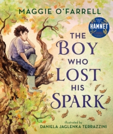 Image for The Boy Who Lost His Spark