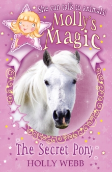 Image for The secret pony