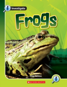 Image for FROGS LIFE CYCLES