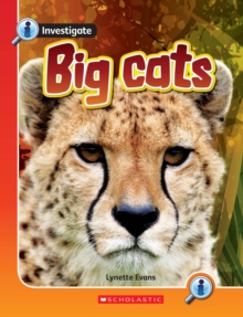 Image for BIG CATS