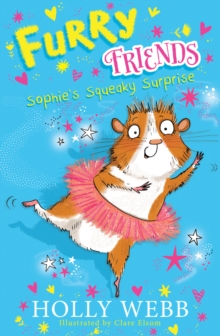 Image for Sophie's squeaky surprise