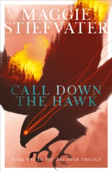 Image for Call Down the Hawk: The Dreamer Trilogy #1