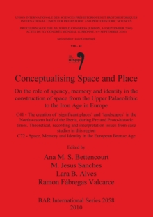 Image for Conceptualising Space and Place