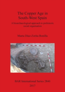 Image for The The Copper Age in South-West Spain