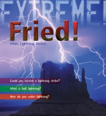 Image for Fried!  : when lightning strikes
