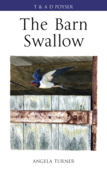 Image for The barn swallow