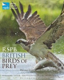 Image for RSPB British birds of prey