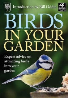 Image for Birds in Your Garden