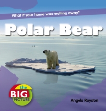 Image for Polar bear  : what if your home was melting away?